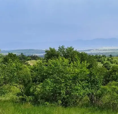 Снимка 4 — Парцел в София, с. Поповци