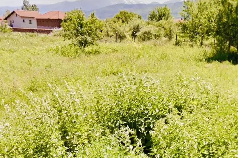 Plot in област София, Reliovo
