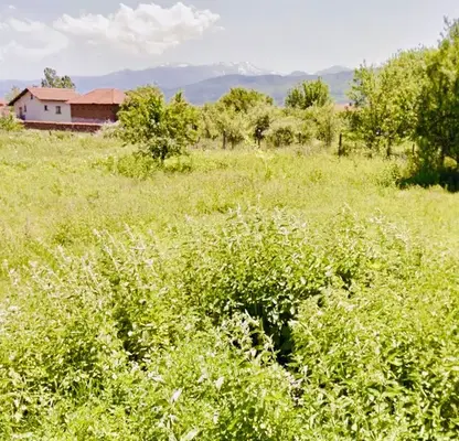 Photo 2 — Plot in област София, Reliovo