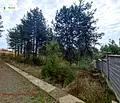 Снимка 3 — Парцел в Стара Загора, с. Богомилово