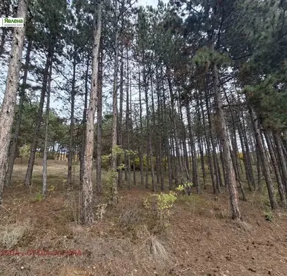 Photo 4 — Plot in Oblast Stara Zagora, Bogomilovo