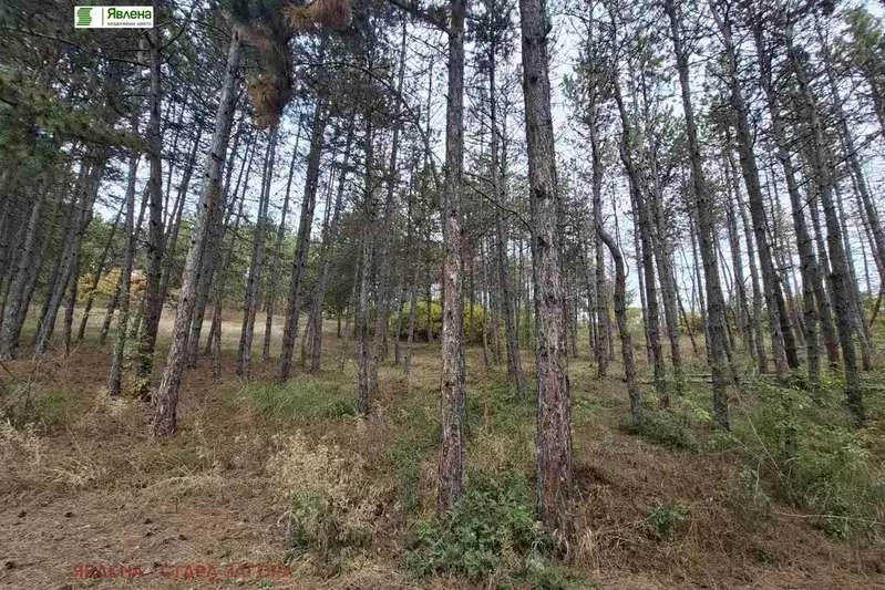 Plot in Oblast Stara Zagora, Bogomilovo