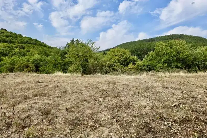 Plot in Oblast Stara Zagora, Borilovo