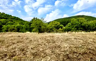 Парцел в Стара Загора, с. Борилово