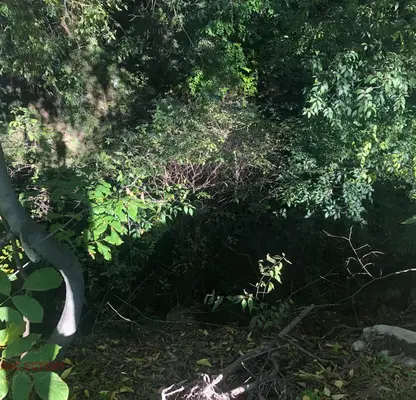 Photo 5 — Plot in Stara Zagora, Hrishteni