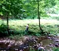 Снимка 2 — Парцел в Стара Загора, с. Лява река