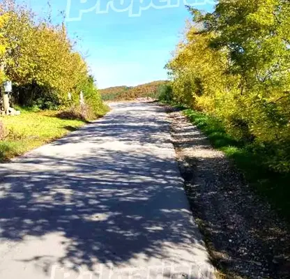 Снимка 3 — Парцел в Търговище, с. Дралфа