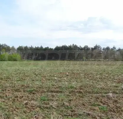 Photo 5 — Plot in Oblast Varna, Byala