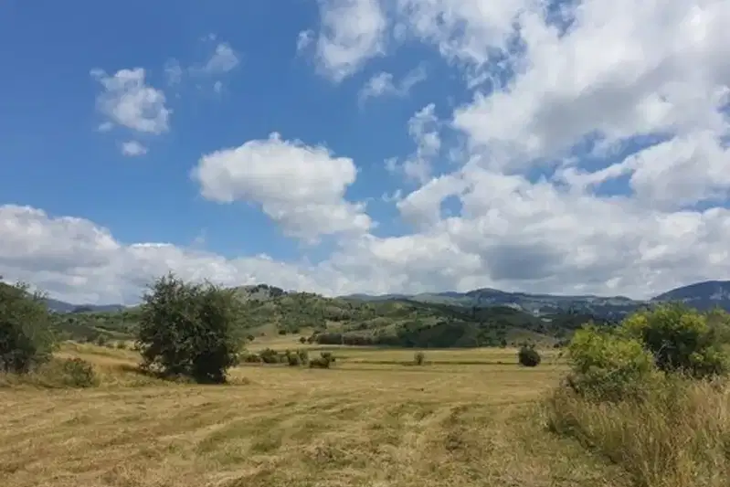 Plot in Oblast Varna, Devnya