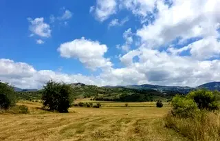 Парцел във Варна, Девня