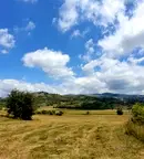 Парцел във Варна, Девня