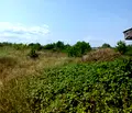 Снимка 4 — Парцел във Варна, с. Горица
