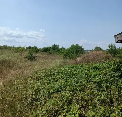 Photo 4 — Plot in Oblast Varna, Gorica