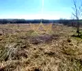 Снимка 3 — Парцел във Варна, с. Николаевка
