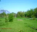 Снимка 3 — Парцел във Варна, с. Осеново
