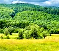 Снимка 4 — Парцел във Велико Търново, Елена