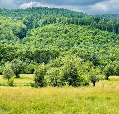 Снимка 4 — Парцел във Велико Търново, Елена
