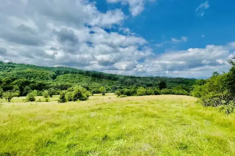 Plot in Oblast Veliko Tyrnovo, Elena