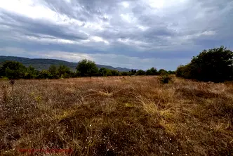 Парцел във Велико Търново, с. Леденик