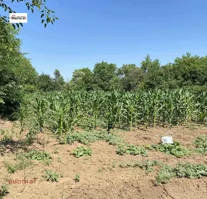 Photo 3 — Plot in Oblast Veliko Tyrnovo, Mihalci