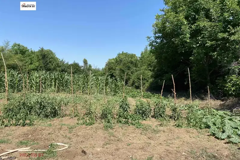 Plot in Oblast Veliko Tyrnovo, Mihalci
