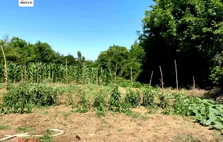 Парцел във Велико Търново, с. Михалци