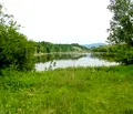 Снимка 2 — Парцел във Велико Търново, с. Присово