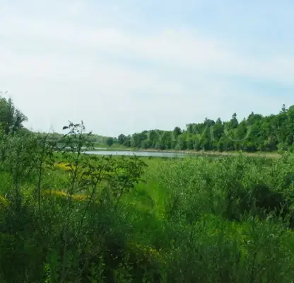 Снимка 4 — Парцел във Велико Търново, с. Присово
