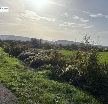 Photo 3 — Plot in Oblast Veliko Tyrnovo, Samovodene
