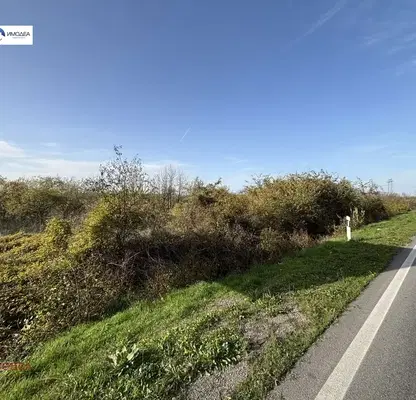 Photo 4 — Plot in Oblast Veliko Tyrnovo, Samovodene