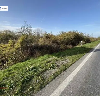 Photo 5 — Plot in Oblast Veliko Tyrnovo, Samovodene