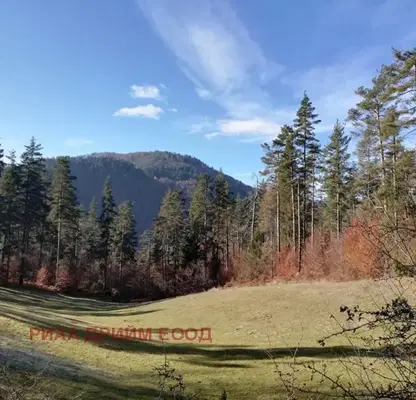 Photo 2 — Agricultural Land in Oblast Smolyan, Smilyan