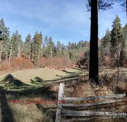 Photo 3 — Agricultural Land in Oblast Smolyan, Smilyan