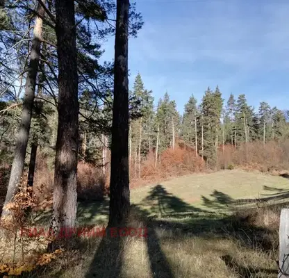 Photo 4 — Agricultural Land in Oblast Smolyan, Smilyan