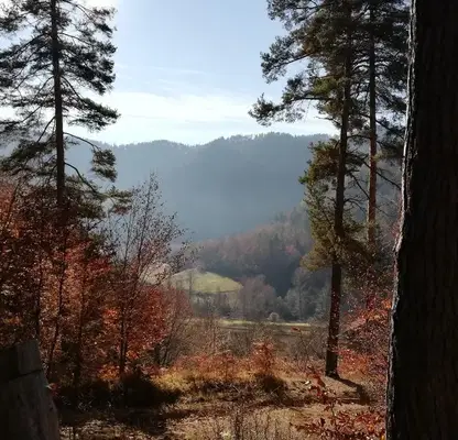 Photo 5 — Agricultural Land in Oblast Smolyan, Smilyan