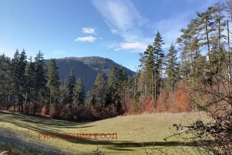 Agricultural Land in Oblast Smolyan, Smilyan