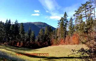 Земеделски имот в Смолян, с. Смилян