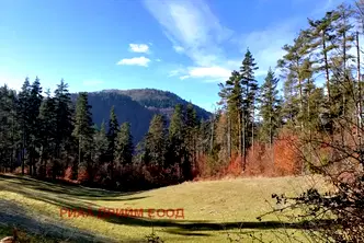 Земеделски имот в Смолян, с. Смилян