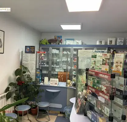 Снимка 5 — Промишлена сграда в Шумен, Тракия