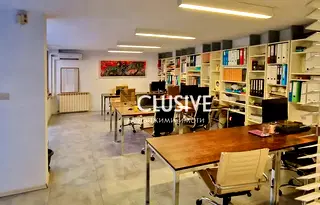 Тристаен апартамент в София, Белите брези