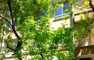 Тристаен апартамент в Пловдив, Кършияка