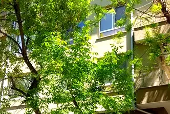 Тристаен апартамент в Пловдив, Кършияка