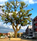 Тристаен апартамент в София, Малинова долина