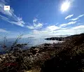 Снимка 2 — Тристаен апартамент в Бургас, Черноморец