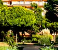 Снимка 3 — Заведение в Бургас, Свети Влас