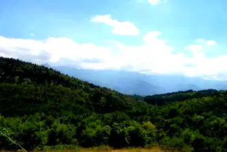 Парцел в Ловеч, Априлци