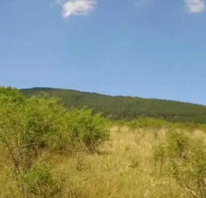 Photo 5 — Plot in Lovech, Aprilci