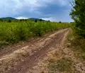 Снимка 3 — Парцел в Банкя