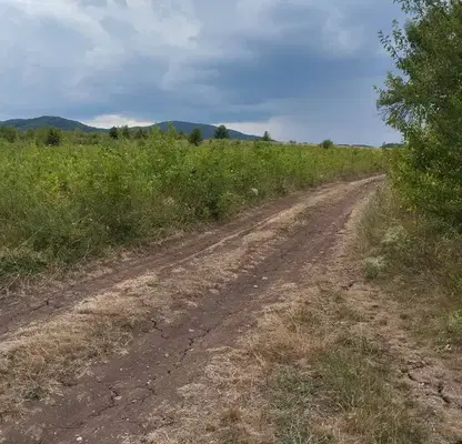 Photo 3 — Plot in Bankya