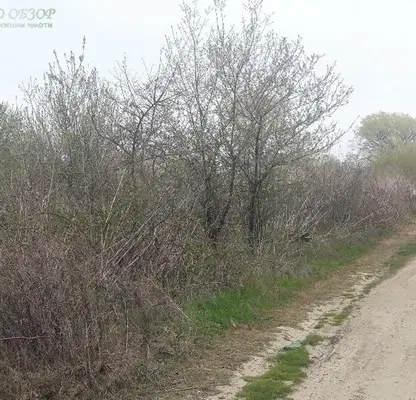 Photo 3 — Plot in Oblast Burgas, Obzor